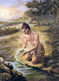 matsya4