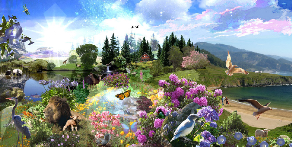 paradise