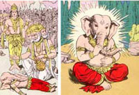 elefant12