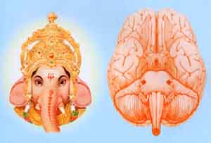 ganesh_in_the_brain