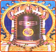 shivalingam1